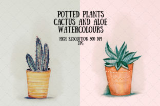 Cactus and Succulent Watercolour Illustrations