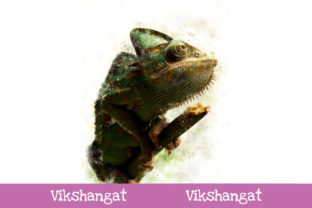 Chameleon Watercolor Art: Illustrations Review