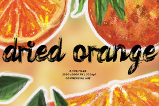 Dried Orange Watercolor Clipart & Illustrations