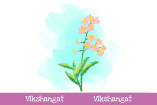 Flower Watercolor Style Illustrations Review