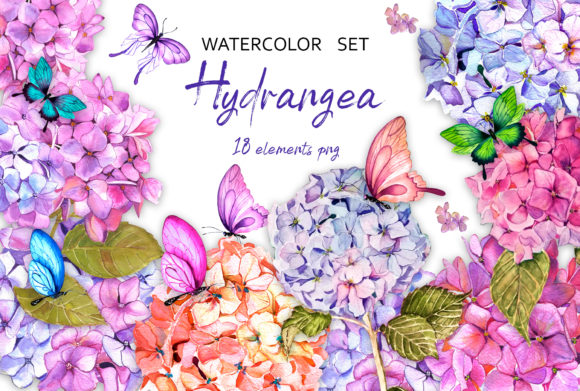 Hydrangea Garden Watercolor Clipart & Illustrations