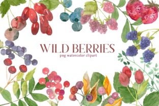 Mixed Berries Watercolor Clipart & Illustrations