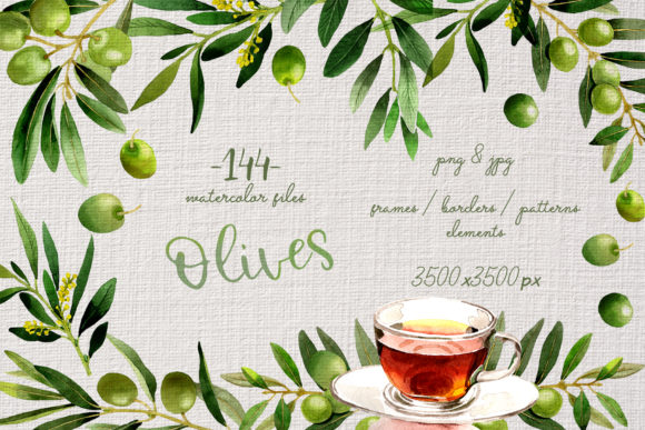 Olive Tree Watercolor Set & Illustrations
