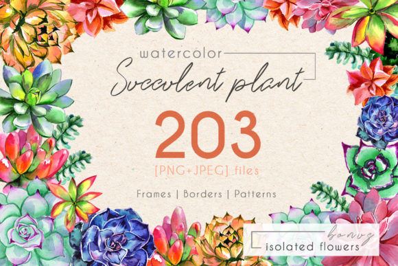 Succulent Plant PNG Watercolor Set Illustrations