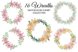 Tropical Lily Flower Watercolor Clipart & Illustrations