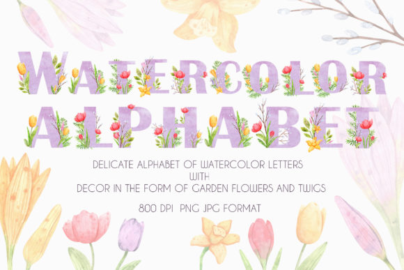 Watercolor Alphabet: Soft Illustrations for Design