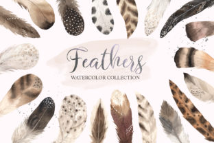Watercolor Delicate Feathers Set Illustrations