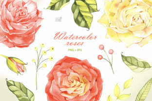Watercolor Roses Cliparts: Illustrations Review