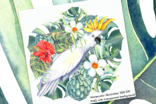 Watercolor Tropical Illustration II Review
