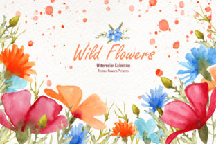 Watercolor Wild Flowers Illustrations Review