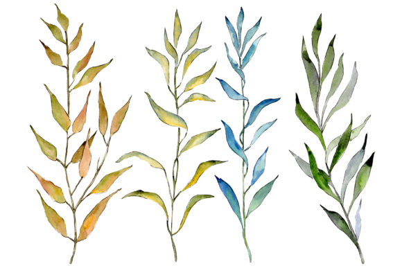 Willow Branches PNG Watercolor Set: Illustrations Review
